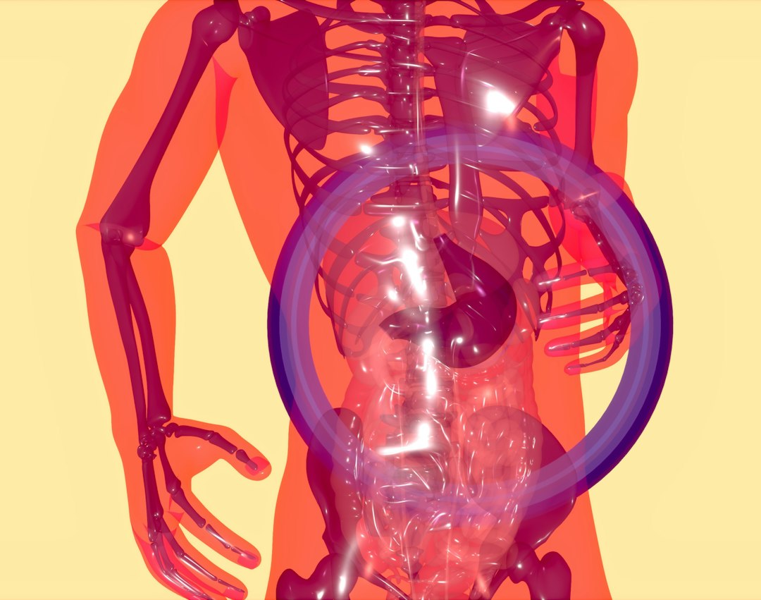 How Excess Belly Fat Affects Heart Health and Circulation