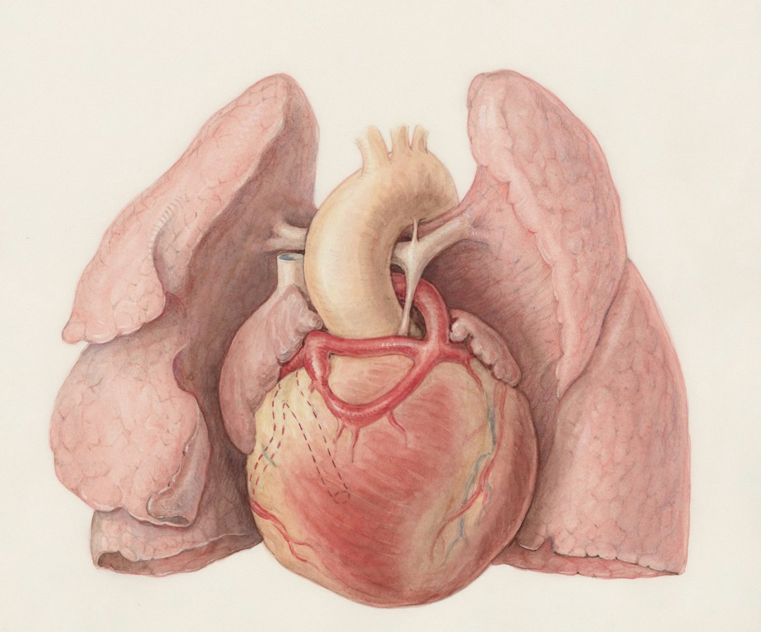 How Poor Circulation Affects Weight Gain and Metabolism