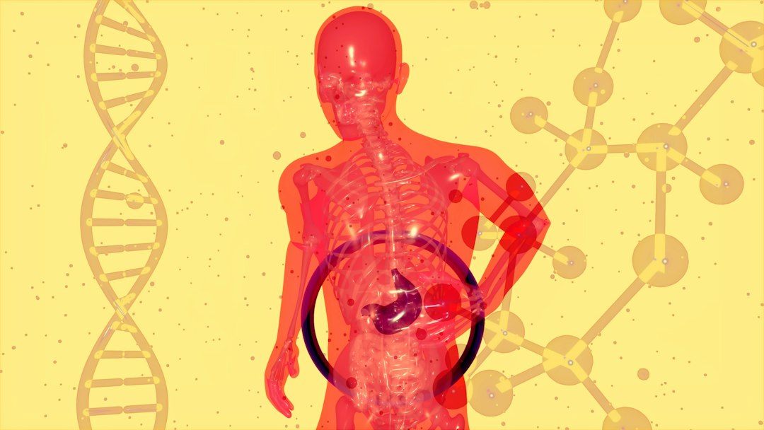 How Slow Metabolism Contributes to Weight Gain and Poor Heart Health